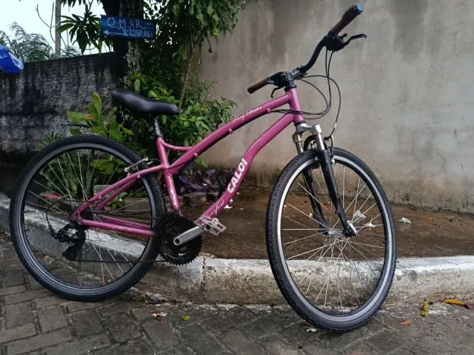 Bike caloi 29 .Easy rider .top
