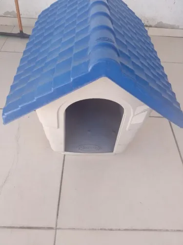Casinha de cachorro 