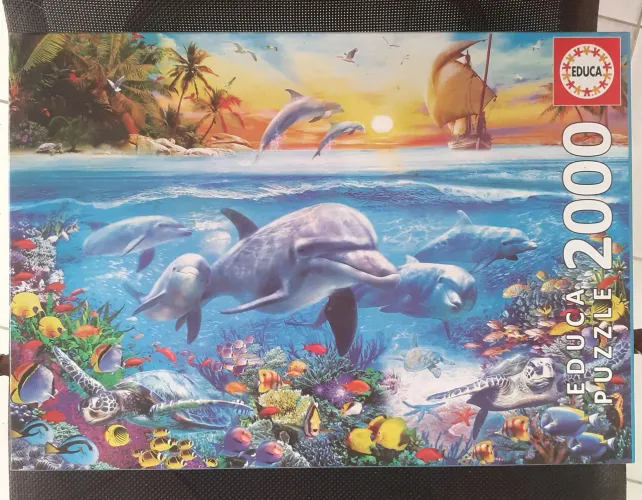 Puzzle quebra cabeça Família de Golfinhos 2000 peças Educa