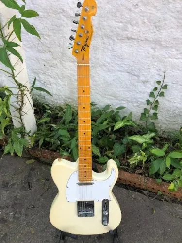 Guitarra Eletrica Série Woodstock PWH TW-55c/ upgrade faço Olxpay/ML avalio troca