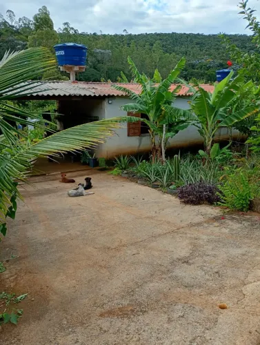 Roça, entrar em contato para valor (descrição)