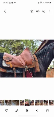 Traia sela de laço comprido completa