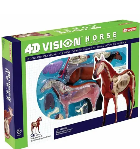 Anatomia do cavalo 4D vision