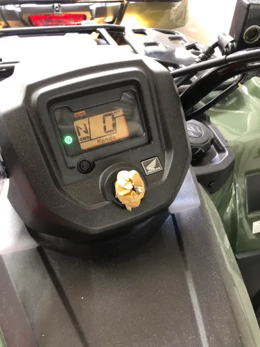 Quadriciclo TRX FOUTRAX 420