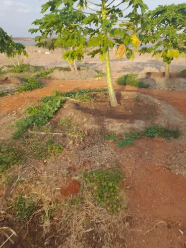 VENDO TERRENO 7.000 METROS QUADRADROS