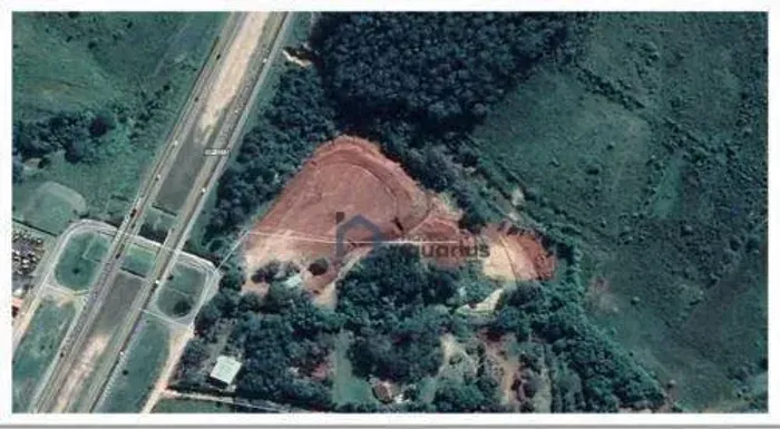 Área, 32500 m² - venda por R$ 6.500.000,00 ou aluguel por R$ 32.405,00/mês - Fazenda Vila