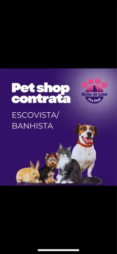 Emprego PET SHOP contrata ESCOVISTA E BANHISTA 