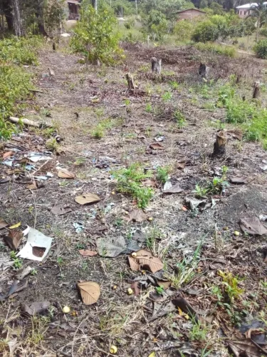 Terreno no rio preto da Eva 