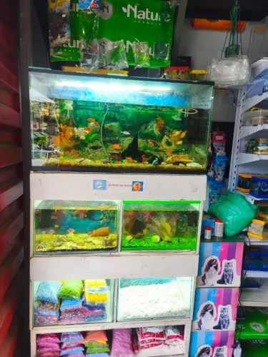 PET SHOP CONSOLIDADO HÁ 18 ANOS | CLIENTELA FIDELIZADA | JARDIM ALVORADA