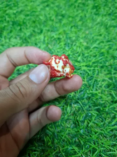 Pipoca com a letra F