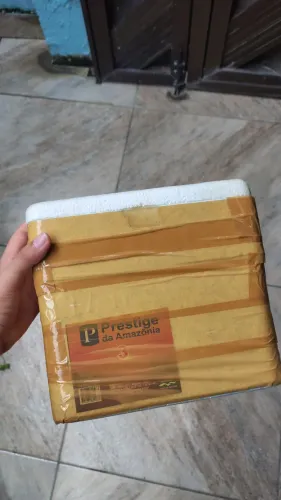 Mini caixa térmica "Prestige da Amazônia" de 3 litros<br>Valor: 15 reais?<br>Valor: 15 reais?