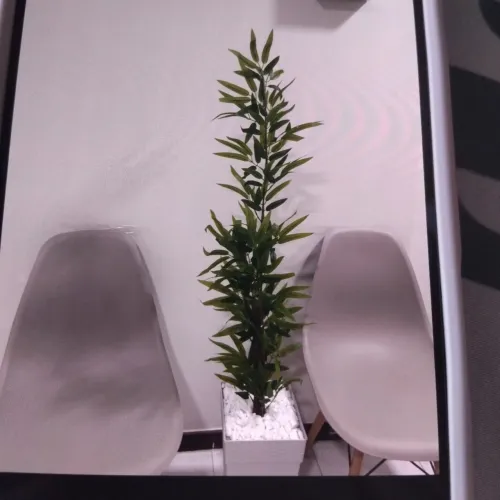 Kit cadeiras pés de madeira