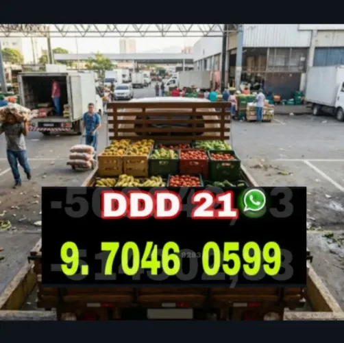 Frete e fretes para mudanças com pontualidade e confiança