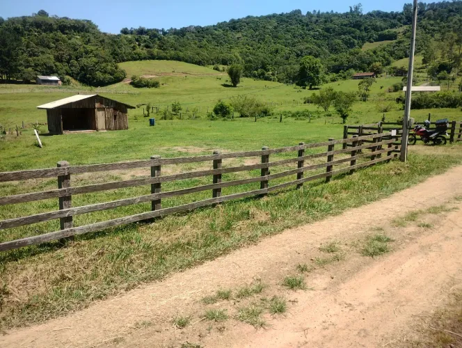 Vendo linda Chacrinha em Santo Antônio da Patrulha.