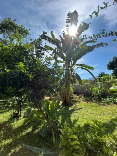 Vendo Terreno Excelente em Tinguá (Nova Iguaçu)- Recanto dos Tabuleiros