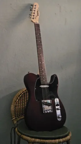 Telecaster Newen com Malagoli Texas