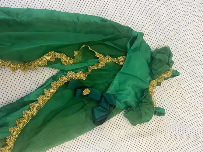 Fantasia infantil Jasmine