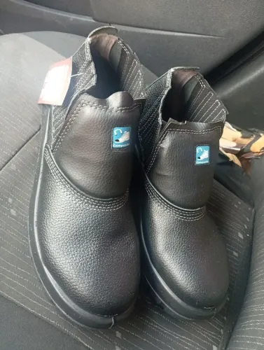 Bota