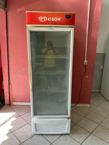 Vendo freezer vertical pra congelamento 220 volts 570 litros funcionando perfeitamente