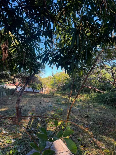 Terreno 12x50 na Calenga/Cacimba Velha - Próximo ao Araxá Bike - R$ 40.000