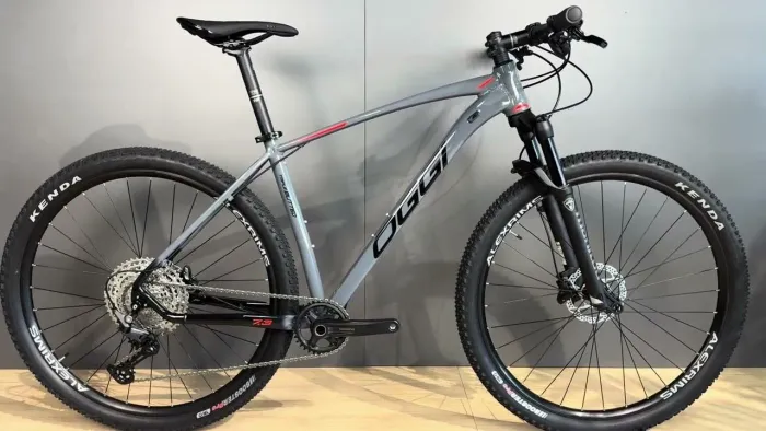 BIKE OGGI 7.3 ANO 2024
