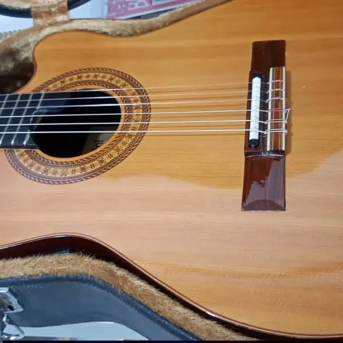 Raridade Violão Giannini Hand Made GWNSB