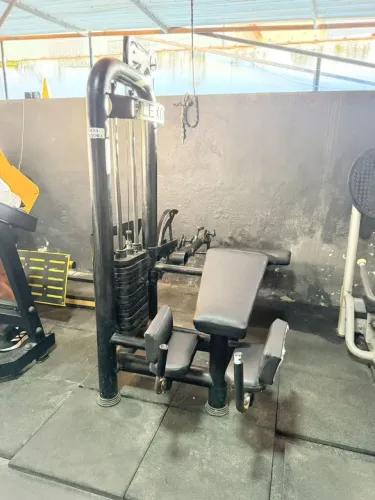 Mesa flexora 