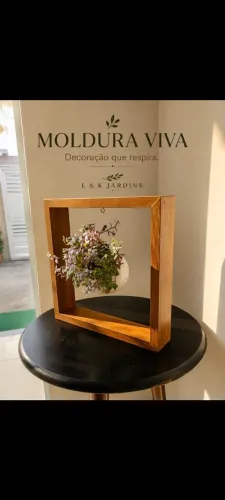 Plantas , moldura viva.