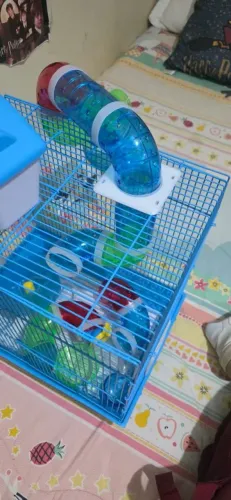 Casa Hamster 2 andares nova.