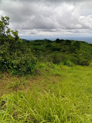 Terreno na serra de Uruburetama 