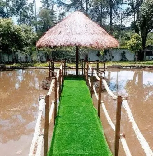 Fazemos construção de (quiosques de sapê e piaçava)