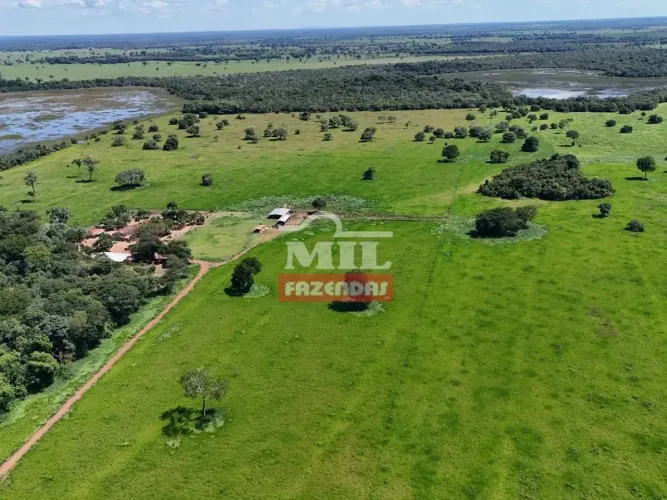 Fazenda 73 Alqueires (353 Hectares) Cocalinho - MT