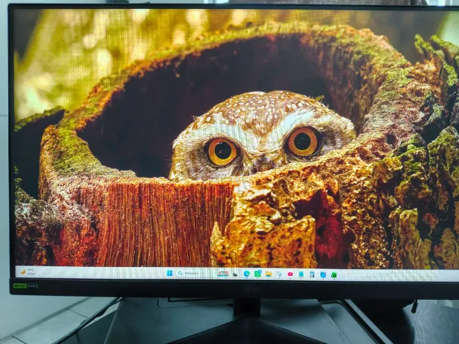 Monitor LG UltraGear 24