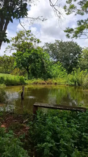 Vendo fazendinha dos sonhos no pé da serra. Terra de cultura