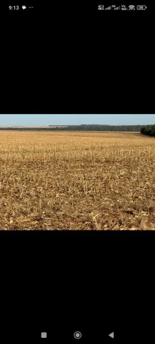 Fazenda de arrendamento 1.700 hec plantando, São José Rio Claro MT.