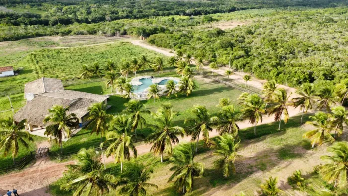 fazenda com 92 hectares de Dom Marcílio com 4.300 pés de coqueiros híbridos um luxo de es