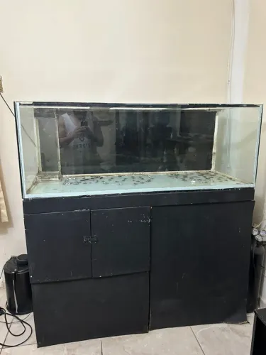 Aquario