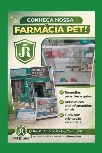 Petshop PetJunior 