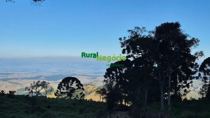 TERRENO COM VISTA PANORÂMICA NA SERRA DE PIQUETE-SP