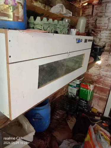 Chocadeira automática