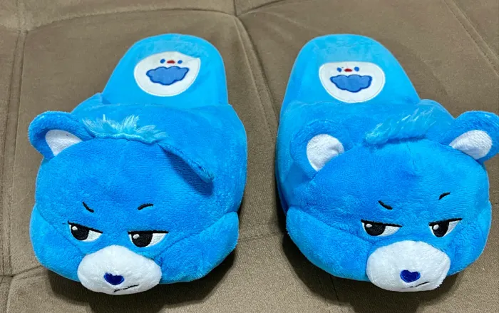 Pantufa Ursinho Carinhosos Zangadinho