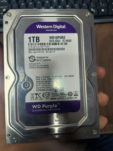 HD Wester Digital Purple 1TB
