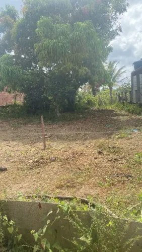 Vendo terreno mun. Itaporanga d' ajuda