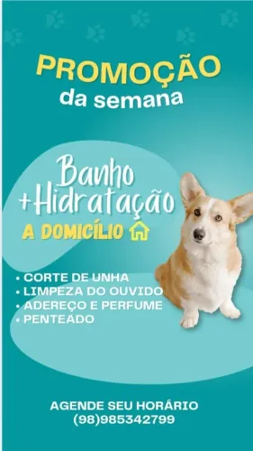 Banho e Tosa a domicílio