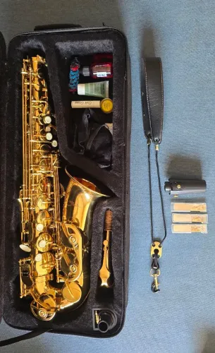 Saxofone Alto Shelter Completo + Boquilha Barkley Shadow