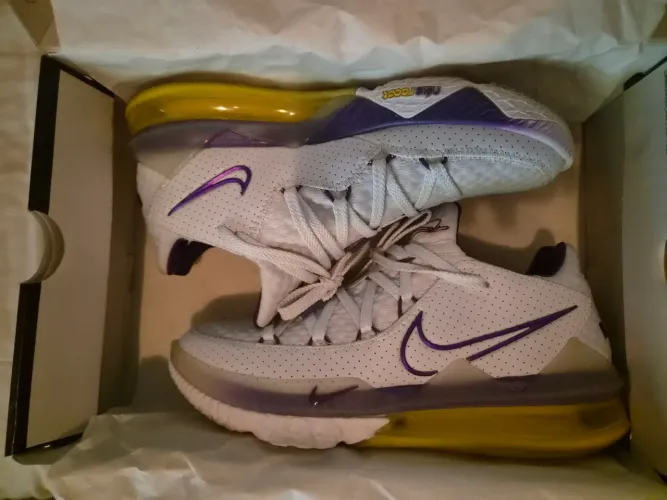 Nike LeBron James 17 low