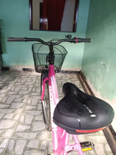 Bicicleta Triciclo com cestinha e bagageiro 