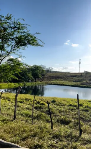 Fazenda 44ha com Cachoeira