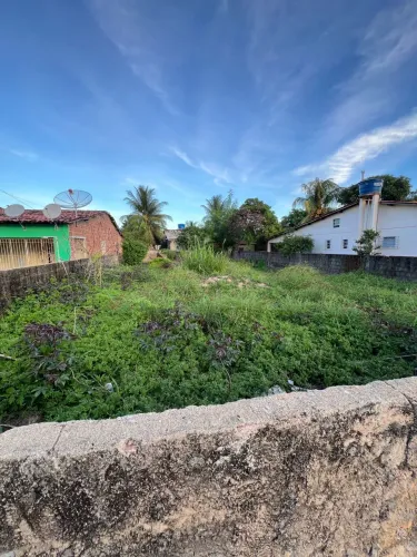 Vendo Terreno em Peroba Quitado - Oportunidade Única Próximo à Praia