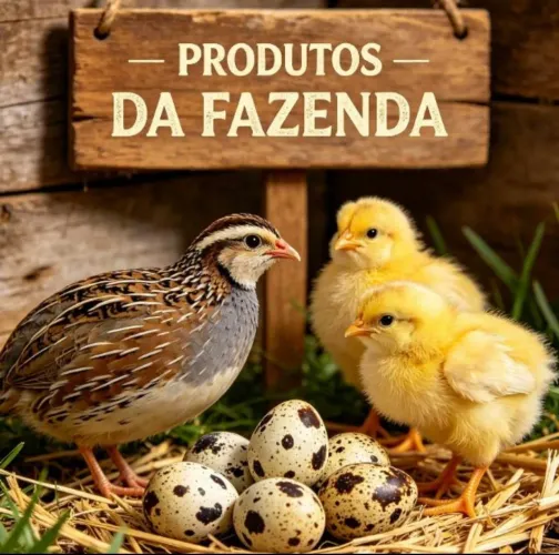 Codorna